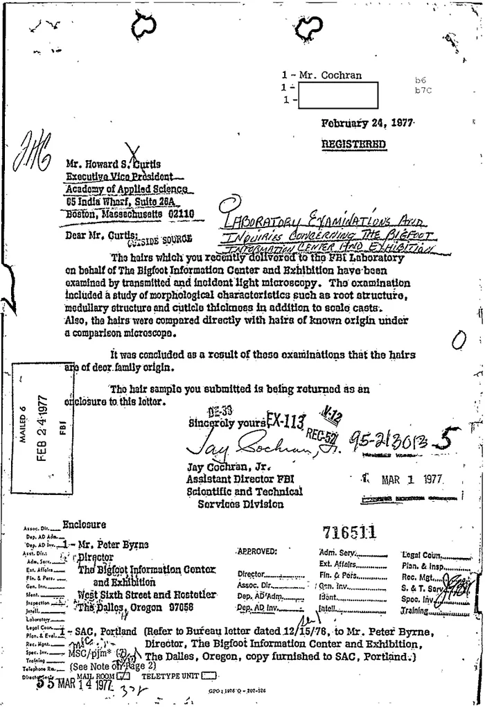 February 24, 1977 FBI Laboratory letter reporting the examination of hairs submitted in connection with a Bigfoot investigation.
